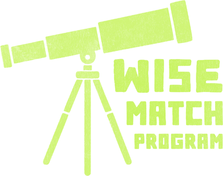 Final WISE Match Branding Guide